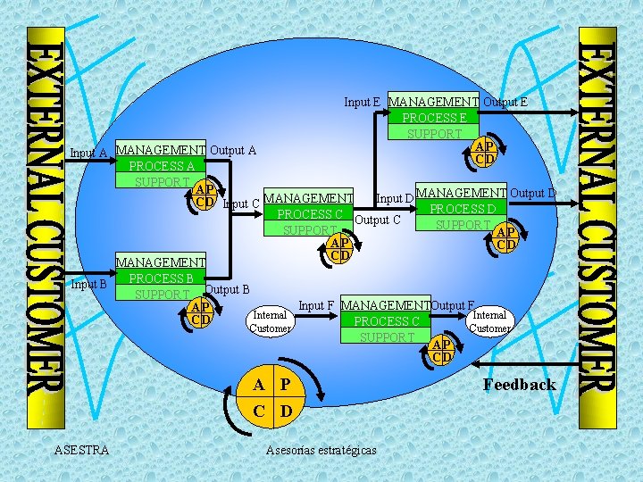 Input E MANAGEMENT Output E PROCESS E SUPPORT AP CD Input A MANAGEMENT Output