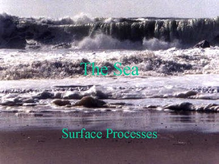 The Sea Surface Processes 