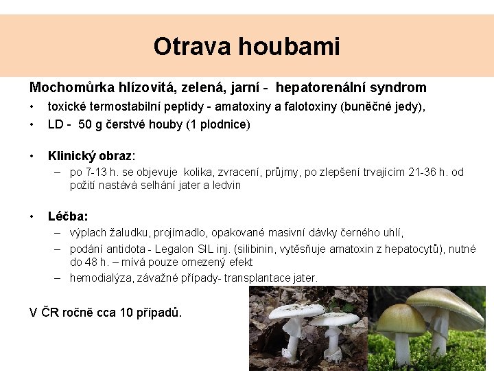 Otrava houbami Mochomůrka hlízovitá, zelená, jarní - hepatorenální syndrom • • toxické termostabilní peptidy