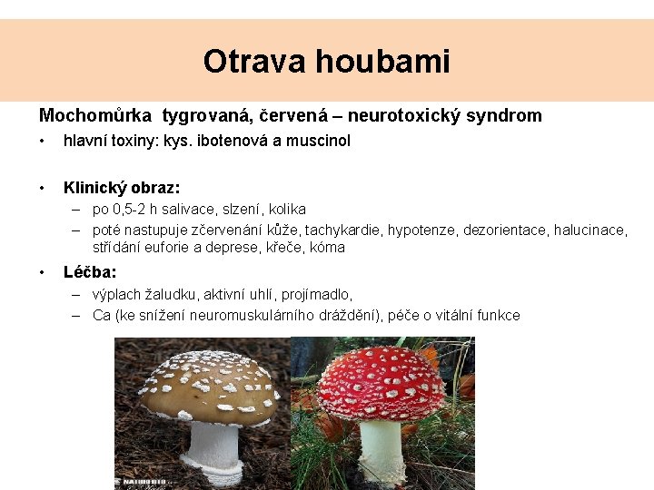 Otrava houbami Mochomůrka tygrovaná, červená – neurotoxický syndrom • hlavní toxiny: kys. ibotenová a