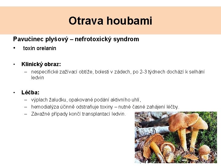 Otrava houbami Pavučinec plyšový – nefrotoxický syndrom • toxin orelanin • Klinický obraz: – Otrava houbami Pavučinec plyšový – nefrotoxický syndrom • toxin orelanin • Klinický obraz: –