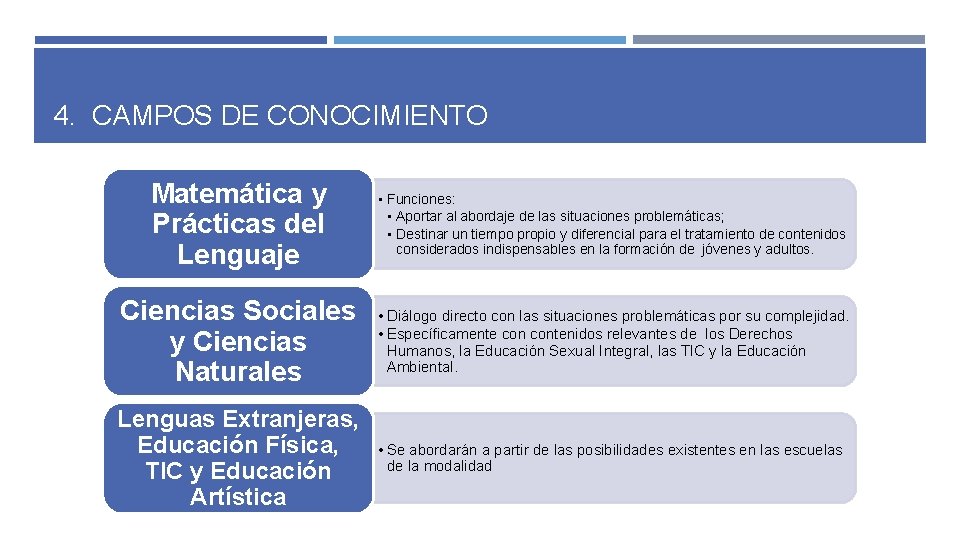 4. CAMPOS DE CONOCIMIENTO Matemática y Prácticas del Lenguaje • Funciones: • Aportar al 4. CAMPOS DE CONOCIMIENTO Matemática y Prácticas del Lenguaje • Funciones: • Aportar al