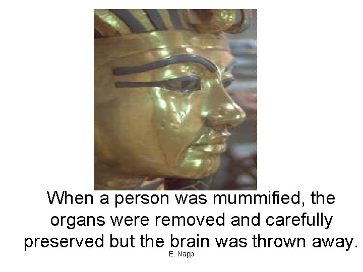 When a person was mummified, the organs were removed and carefully preserved but the