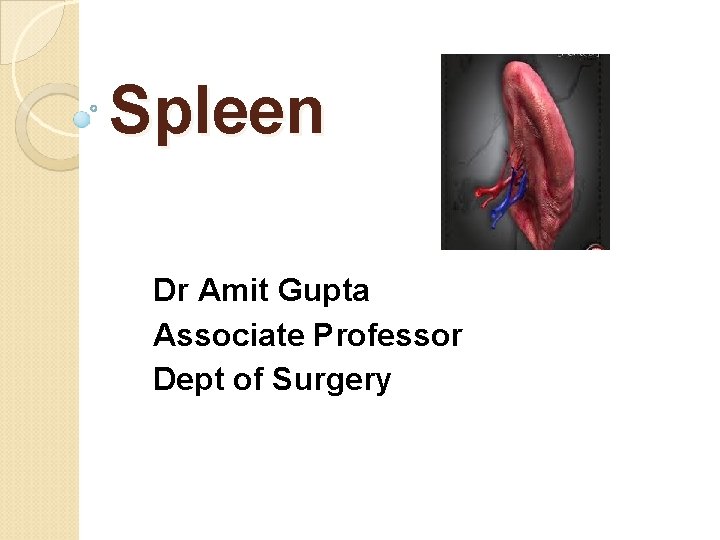 Spleen Dr Amit Gupta Associate Professor Dept of Surgery 