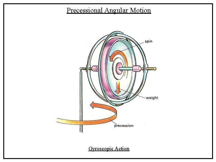 Precessional Angular Motion Gyroscopic Action 