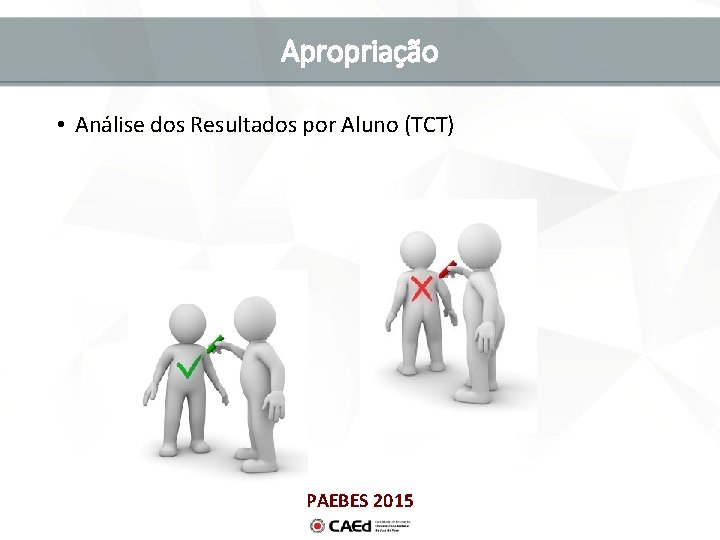 Apropriação • Análise dos Resultados por Aluno (TCT) PAEBES 2015 