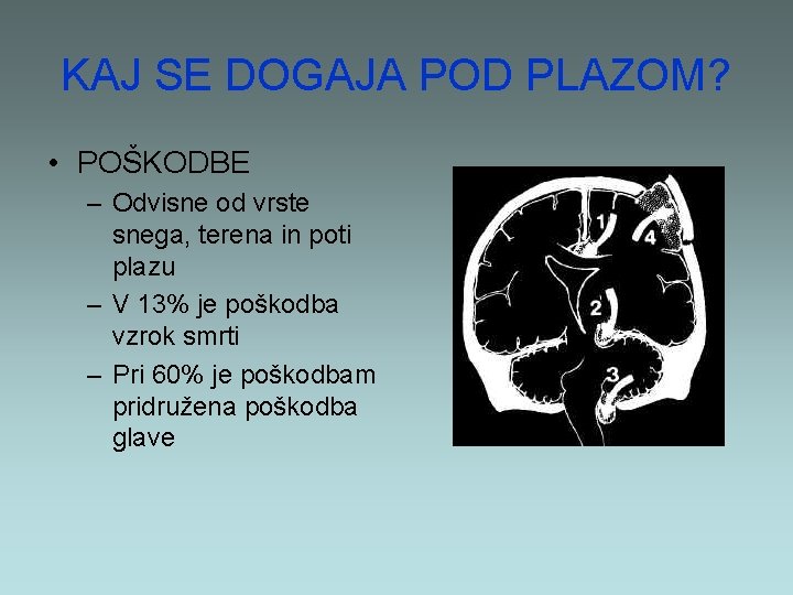 KAJ SE DOGAJA POD PLAZOM? • POŠKODBE – Odvisne od vrste snega, terena in