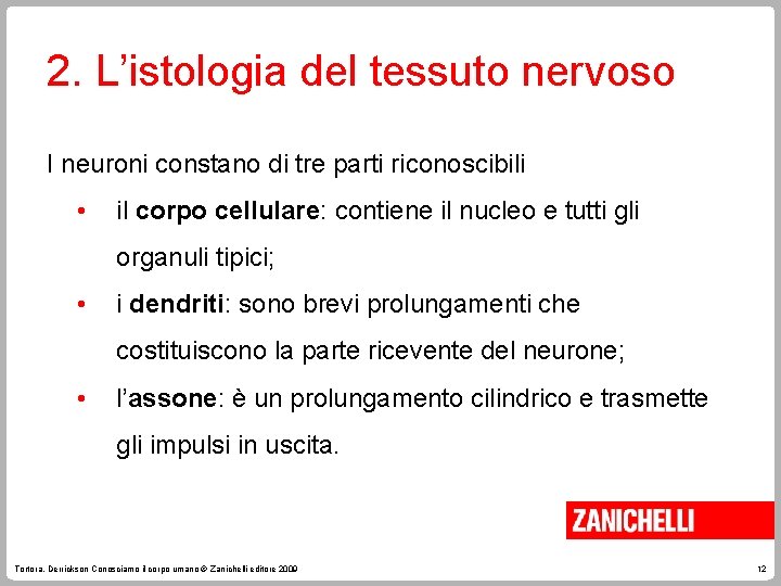 2. L’istologia del tessuto nervoso I neuroni constano di tre parti riconoscibili • il