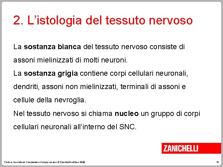 2. L’istologia del tessuto nervoso La sostanza bianca del tessuto nervoso consiste di assoni