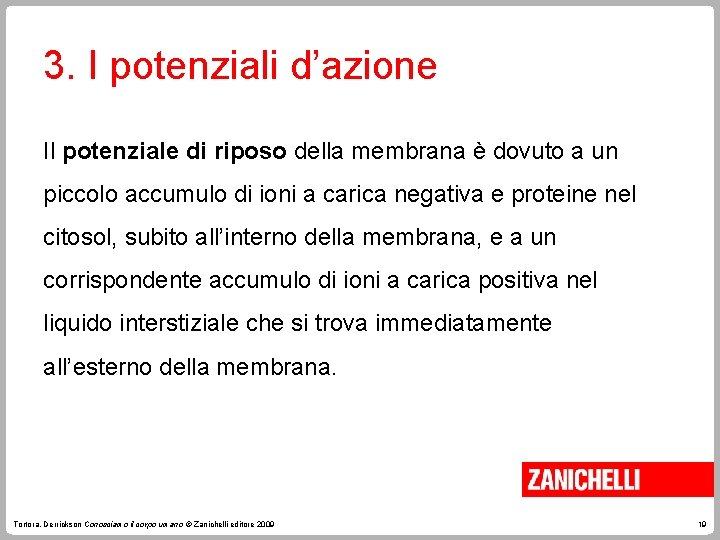 3. I potenziali d’azione Il potenziale di riposo della membrana è dovuto a un