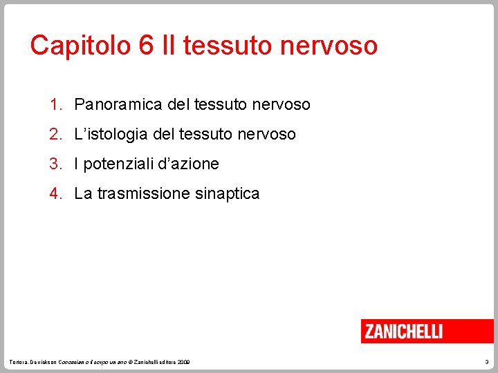 Capitolo 6 Il tessuto nervoso 1. Panoramica del tessuto nervoso 2. L’istologia del tessuto