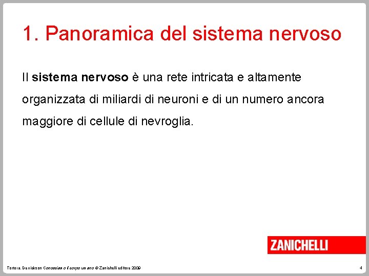 1. Panoramica del sistema nervoso Il sistema nervoso è una rete intricata e altamente