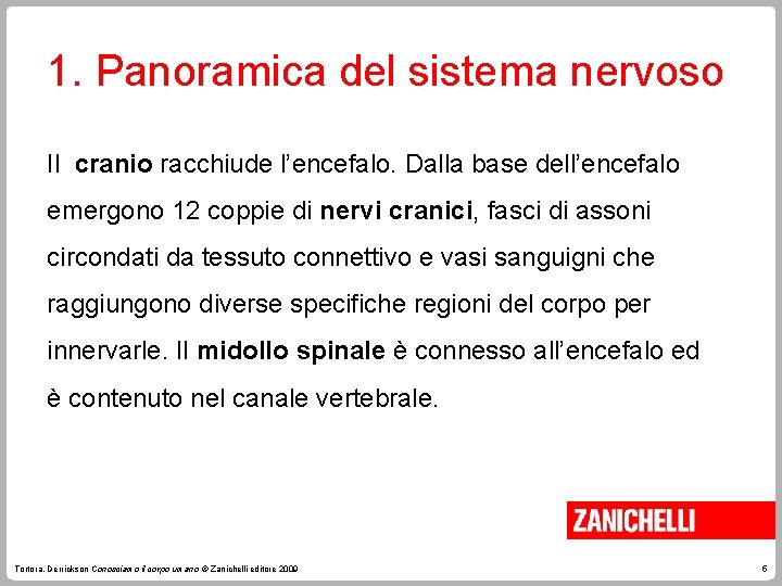 1. Panoramica del sistema nervoso Il cranio racchiude l’encefalo. Dalla base dell’encefalo emergono 12