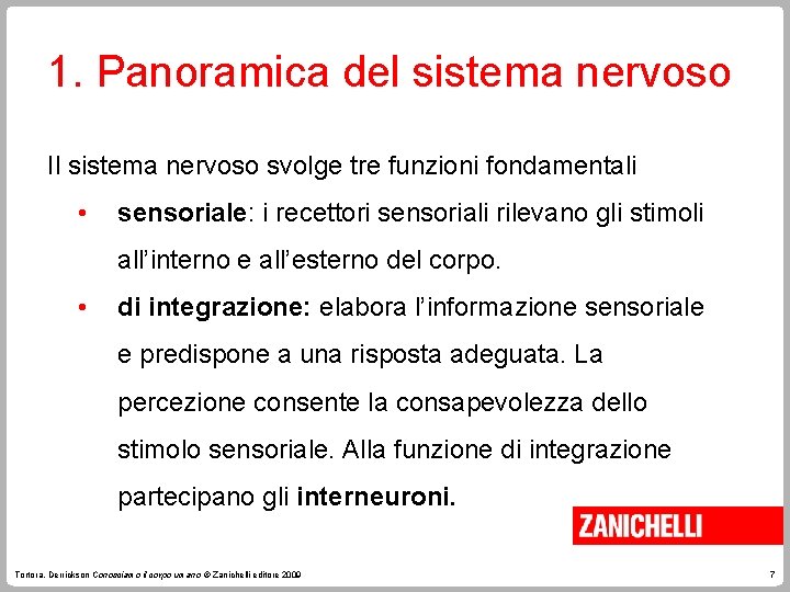 1. Panoramica del sistema nervoso Il sistema nervoso svolge tre funzioni fondamentali • sensoriale: