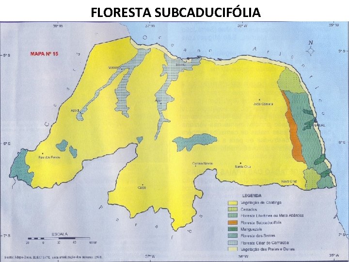 FLORESTA SUBCADUCIFÓLIA 