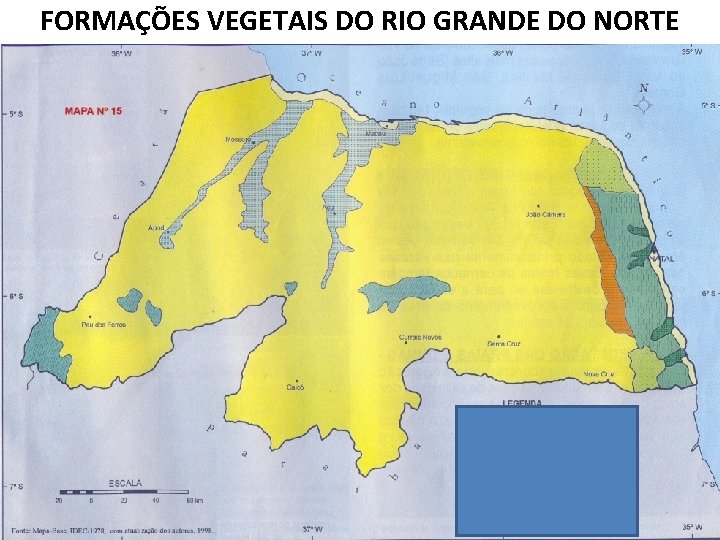 FORMAÇÕES VEGETAIS DO RIO GRANDE DO NORTE 