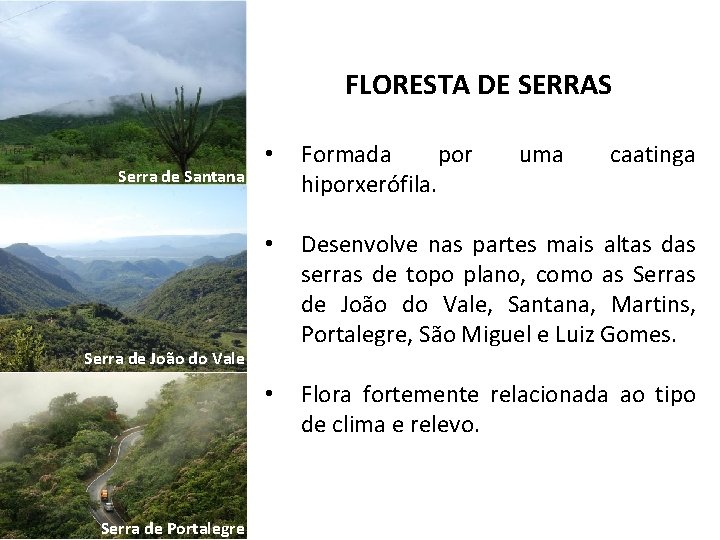 FLORESTA DE SERRAS Serra de Santana • Formada por hiporxerófila. • Desenvolve nas partes