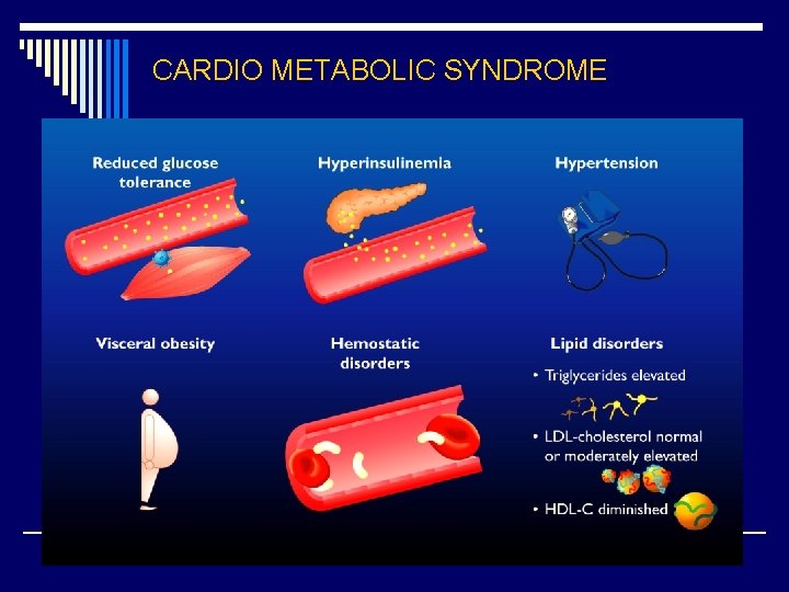 CARDIO METABOLIC SYNDROME 45 