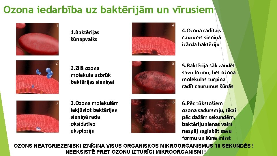 Ozona iedarbība uz baktērijām un vīrusiem 1. Baktērijas šūnapvalks 4. Ozona radītais caurums sieniņā