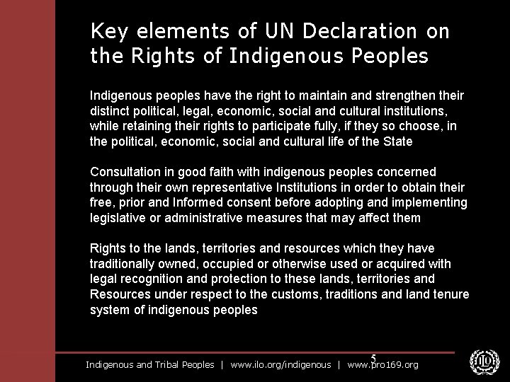Key elements of UN Declaration on the Rights of Indigenous Peoples Indigenous peoples have