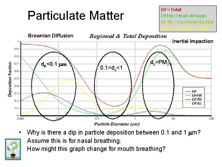 Particulate Matter DF=Total DFHA=Head Airways DFTB=Tracheobronchial DFAL=Alveolar region Brownian Diffusion Inertial Impaction dp<0. 1