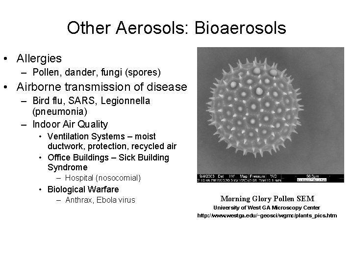 Other Aerosols: Bioaerosols • Allergies – Pollen, dander, fungi (spores) • Airborne transmission of