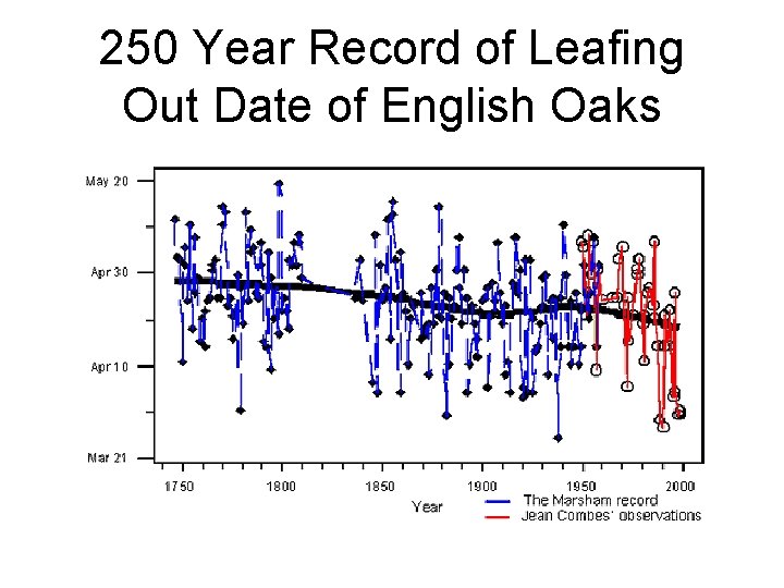 250 Year Record of Leafing Out Date of English Oaks 250 Year Record of Leafing Out Date of English Oaks