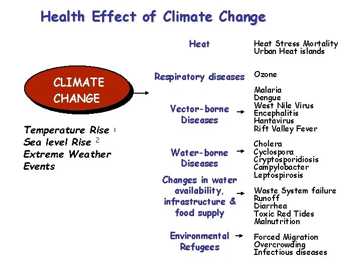 Health Effect of Climate Change Heat CLIMATE CHANGE Temperature Rise 1 Sea level Rise Health Effect of Climate Change Heat CLIMATE CHANGE Temperature Rise 1 Sea level Rise