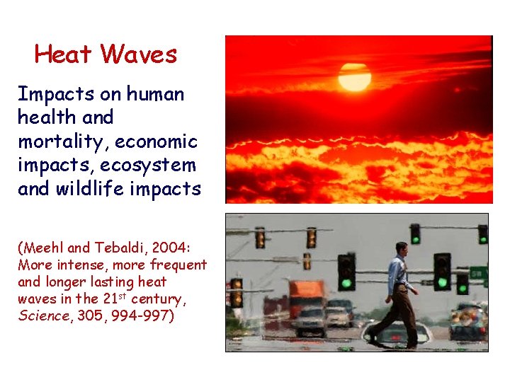 Heat Waves Impacts on human health and mortality, economic impacts, ecosystem and wildlife impacts Heat Waves Impacts on human health and mortality, economic impacts, ecosystem and wildlife impacts