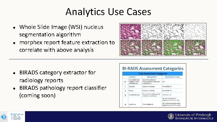 Analytics Use Cases Whole Slide Image (WSI) nucleus segmentation algorithm morphex report feature extraction