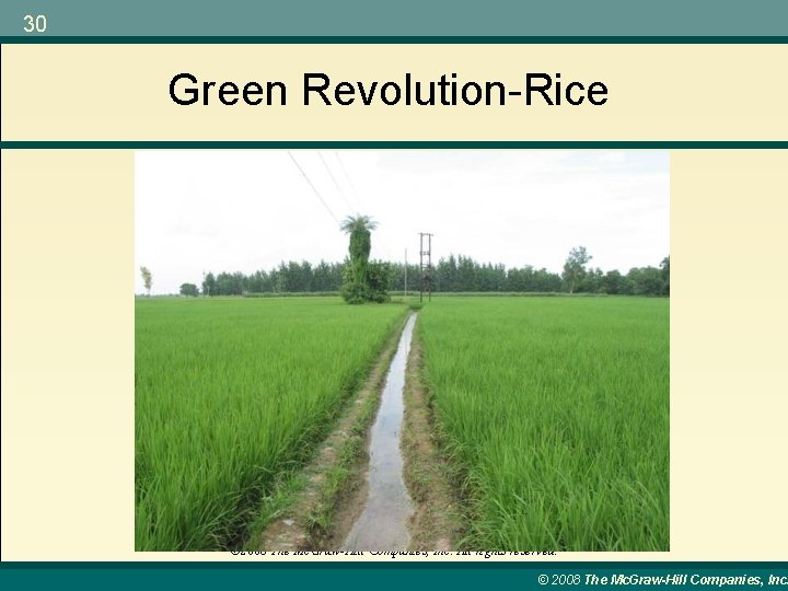 30 Green Revolution-Rice © 2008 The Mc. Graw-Hill Companies, Inc. All rights reserved. ©