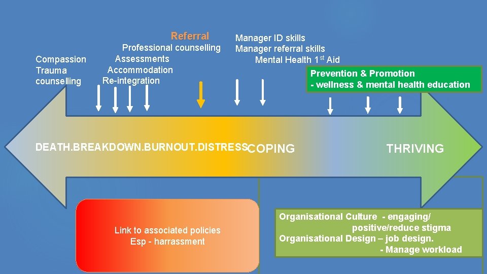 Counselling Risks PRACTICAL STRATEGIES FOR MANAGING MENTAL HEALTH RISKS IN