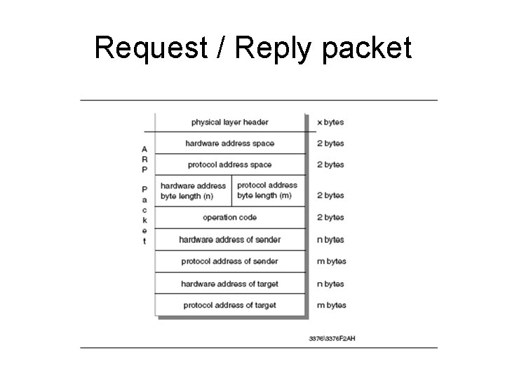 INTERNETWORKING PROTOCOL Oleh Erlista Silviana7203030017 Harista ...