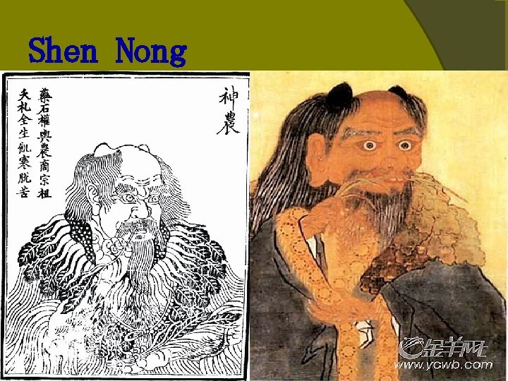 Shen Nong Shen Nong