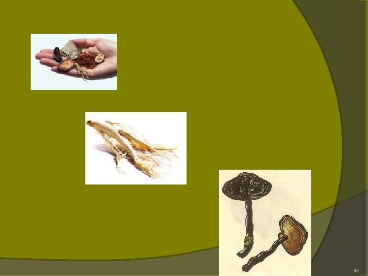 44 44
