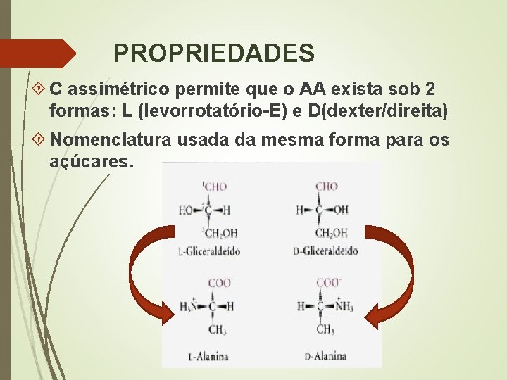 PROPRIEDADES C assimétrico permite que o AA exista sob 2 formas: L (levorrotatório-E) e