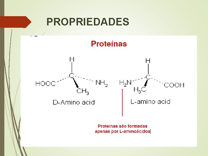 PROPRIEDADES 