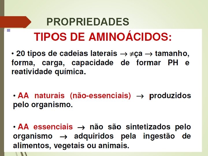 PROPRIEDADES 