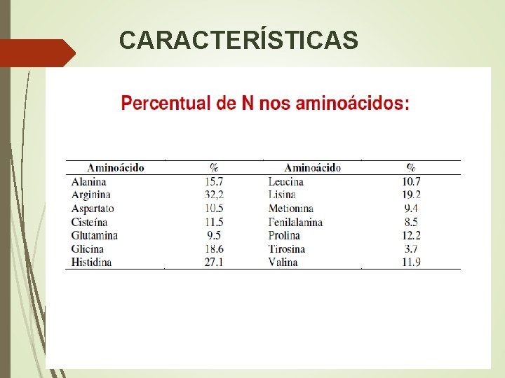 CARACTERÍSTICAS 