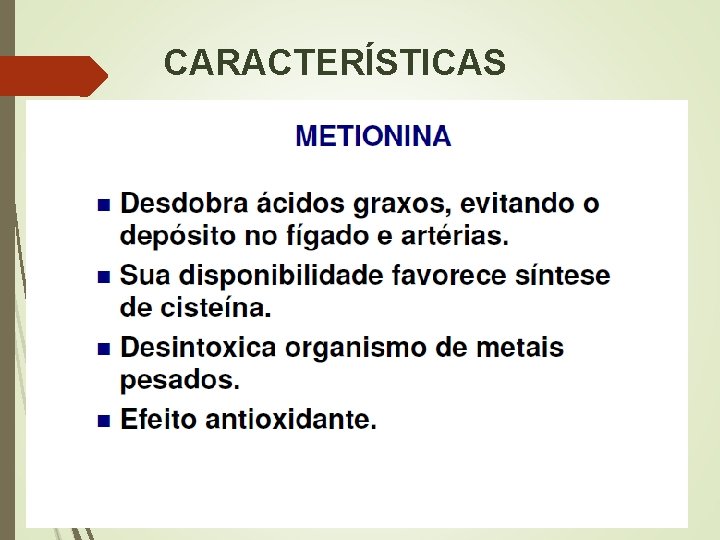 CARACTERÍSTICAS 