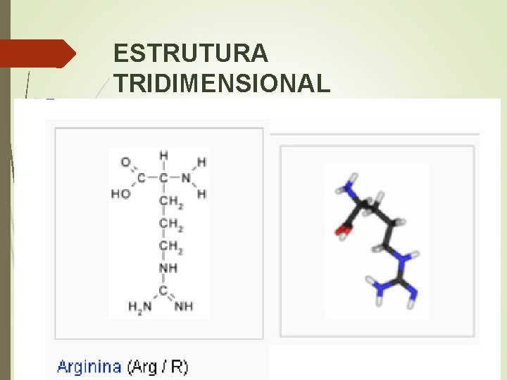 ESTRUTURA TRIDIMENSIONAL 