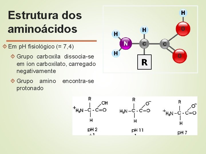 Estrutura dos aminoácidos Em p. H fisiológico (= 7, 4) Grupo carboxila dissocia-se em