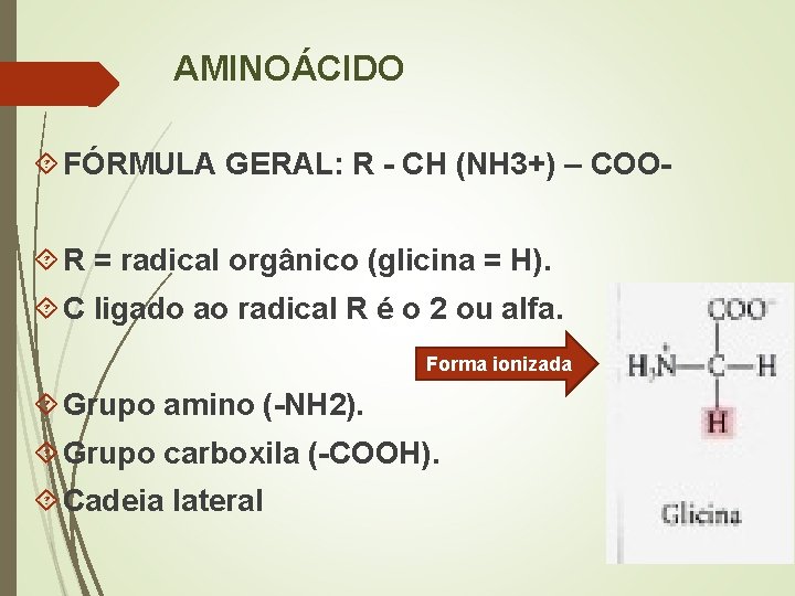 AMINOÁCIDO FÓRMULA GERAL: R - CH (NH 3+) – COO R = radical orgânico