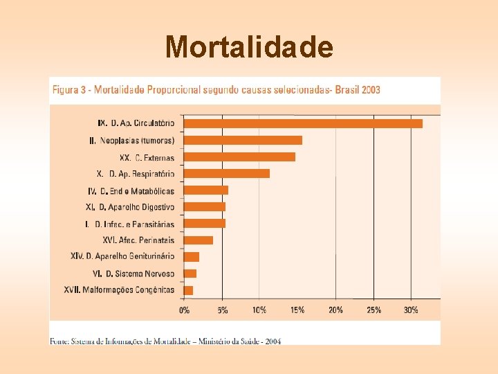 Mortalidade 