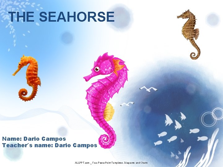 THE SEAHORSE Name: Dario Campos Teacher´s name: Dario Campos ALLPPT. com _ Free Power.