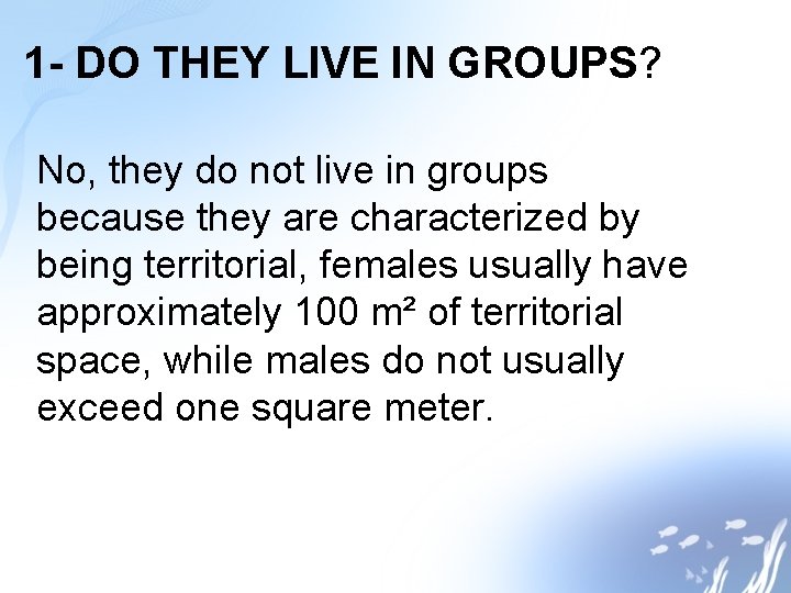 1 - DO THEY LIVE IN GROUPS? No, they do not live in groups
