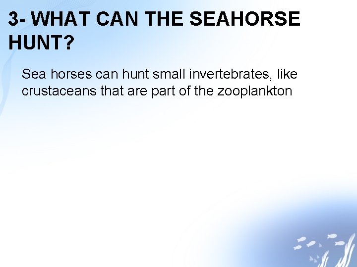 3 - WHAT CAN THE SEAHORSE HUNT? Sea horses can hunt small invertebrates, like