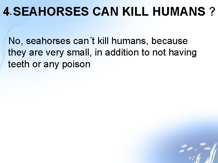 4 - SEAHORSES CAN KILL HUMANS ? No, seahorses can´t kill humans, because they