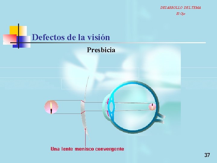 DESARROLLO DEL TEMA El Ojo Defectos de la visión Presbicia 37 