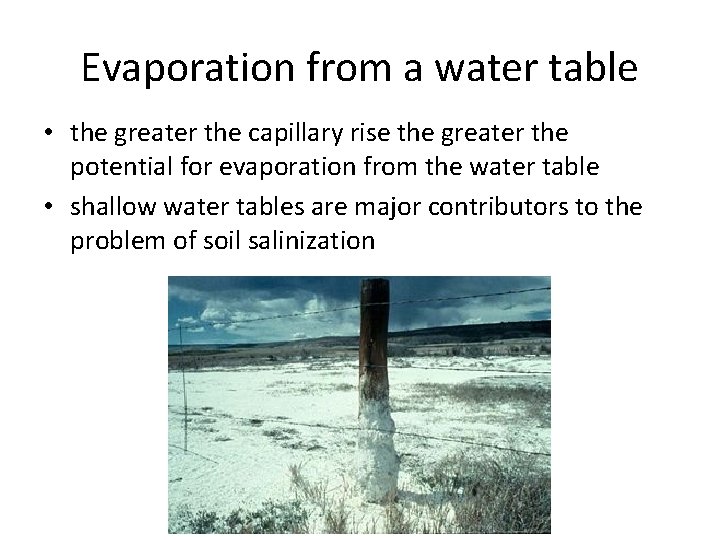 Evaporation from a water table • the greater the capillary rise the greater the